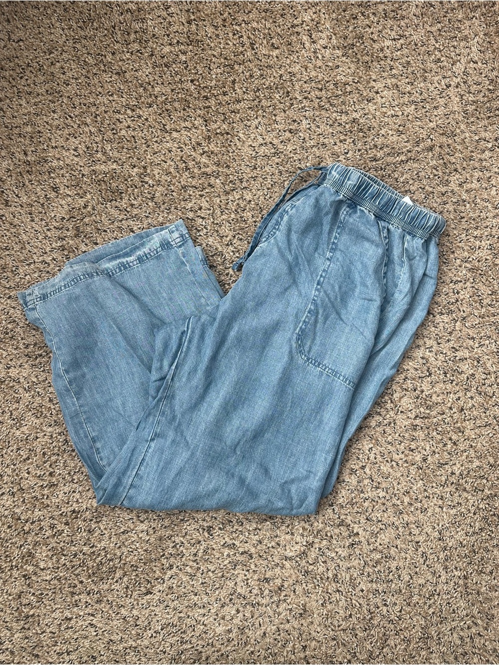 Splendid Light Blue Wide Leg Denim Joggers